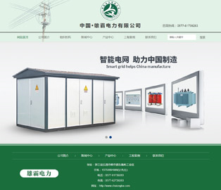 雄霸电力有限公司