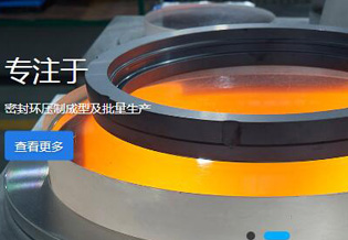 台州瓷匠密封科技有限公司